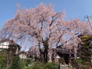 0402黄梅院